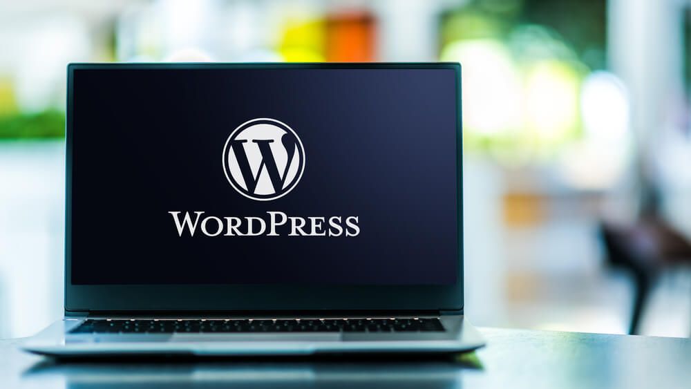 wat-is-wordpress Karel De Brabanter