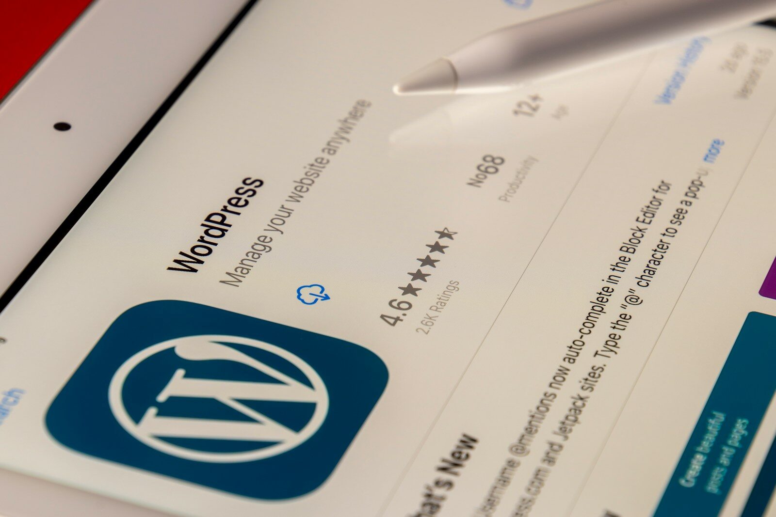 Zoekwoorden gebruiken in WordPress